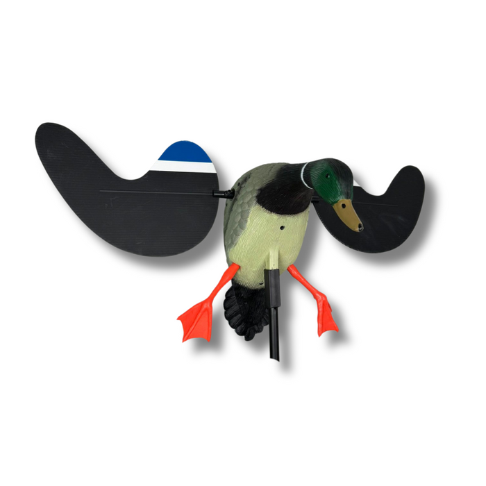 Spinnflügel - Stockente - HuntElite