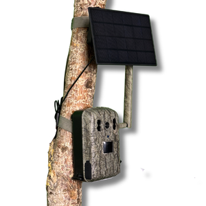 Live Wildkamera 1.0 inkl. Solarpanel und App – Senzor