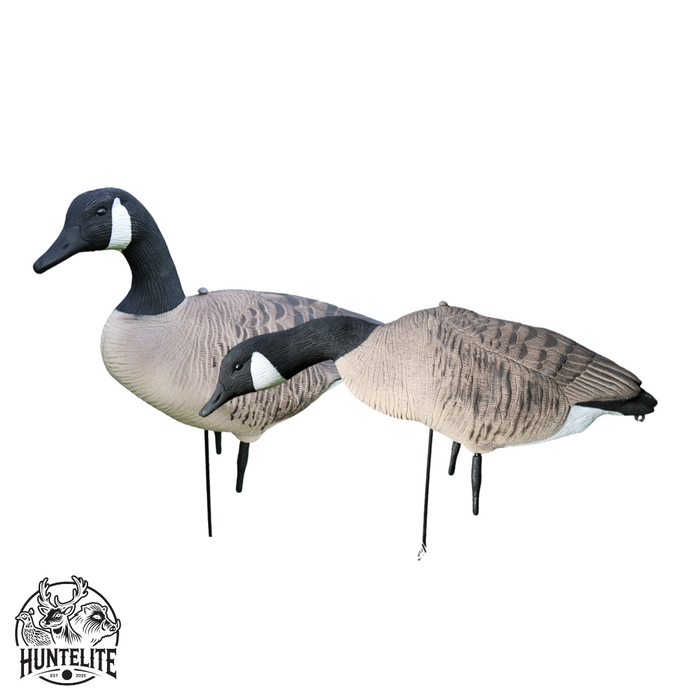 Ganzkörper Kanadagänse 12 Stück - HuntElite