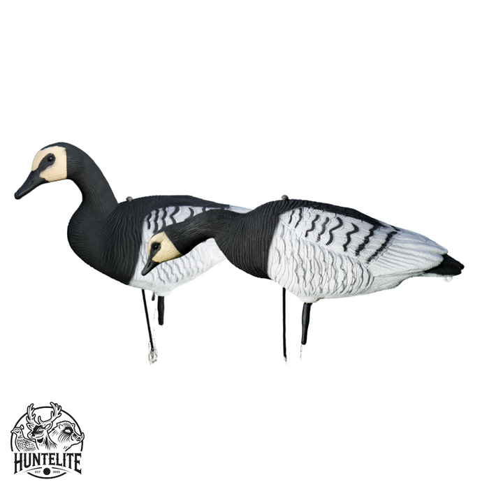 Ganzkörper - Schwarze Gänse - 12 Stk - HuntElite