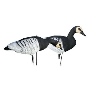 Ganzkörper - Ringelgans - 12 Stück - HuntElite