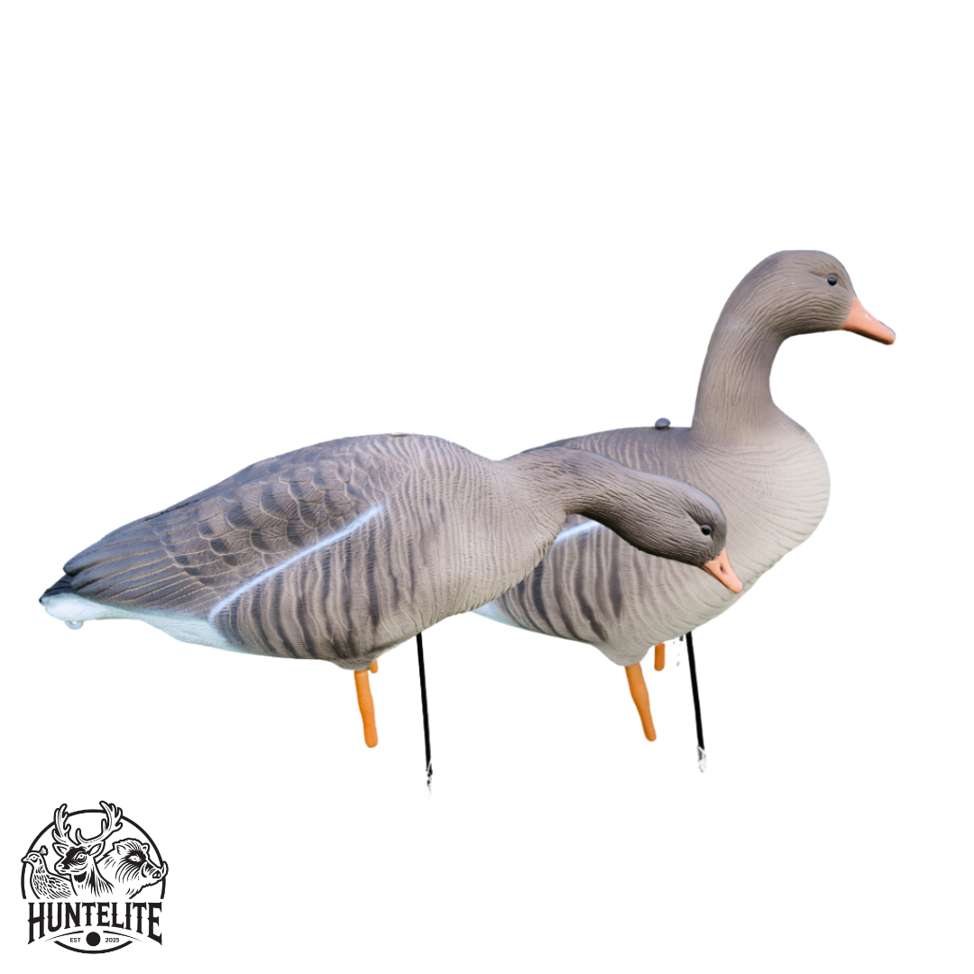 Ganzkörper - Graugänse - 12 Stück - HuntElite