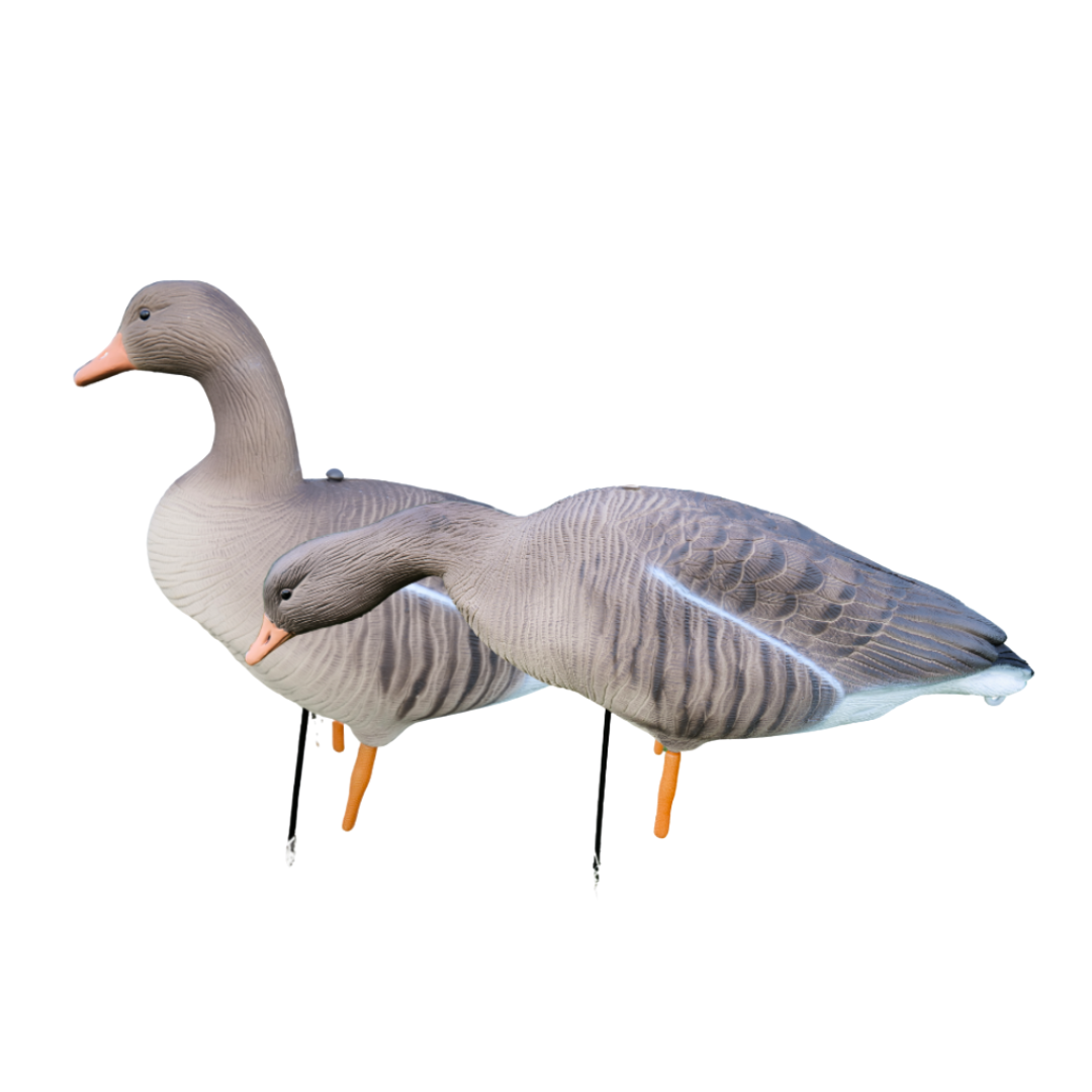 Ganzkörper - Graugänse - 12 Stück - HuntElite