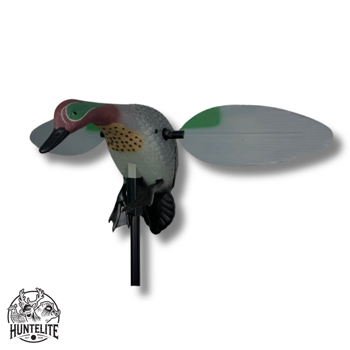 Spinnflügel - Krickente - HuntElite