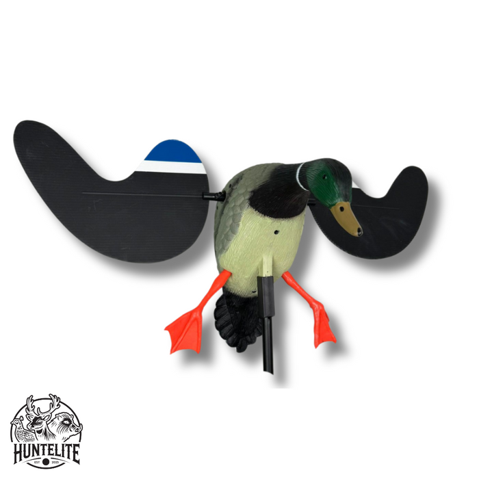 Spinnflügel - Stockente - HuntElite