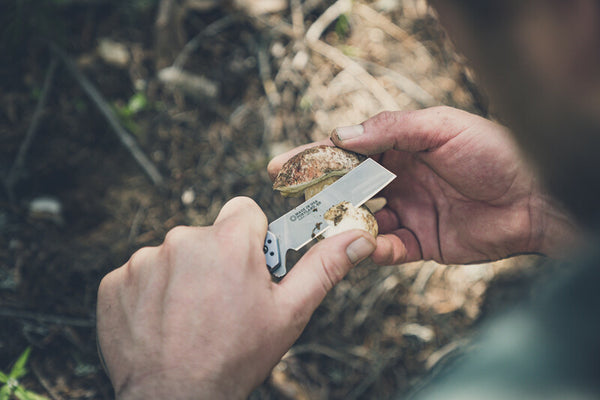 Fastball Cleaver 20CV – Coyote – Gerber