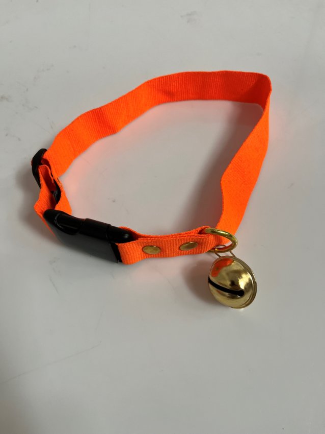 Hundehalsband mit Glocke