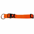 Verstellbares Halsband aus Nylon – 10mm 20–35cm – Kerbl