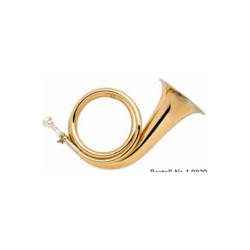 Fürst-Plesshorn mit Lederbezug - 8830 Goldmessing/Konzertmodell