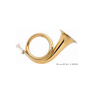 Fürst-Plesshorn mit Lederbezug - 8830 Goldmessing/Konzertmodell