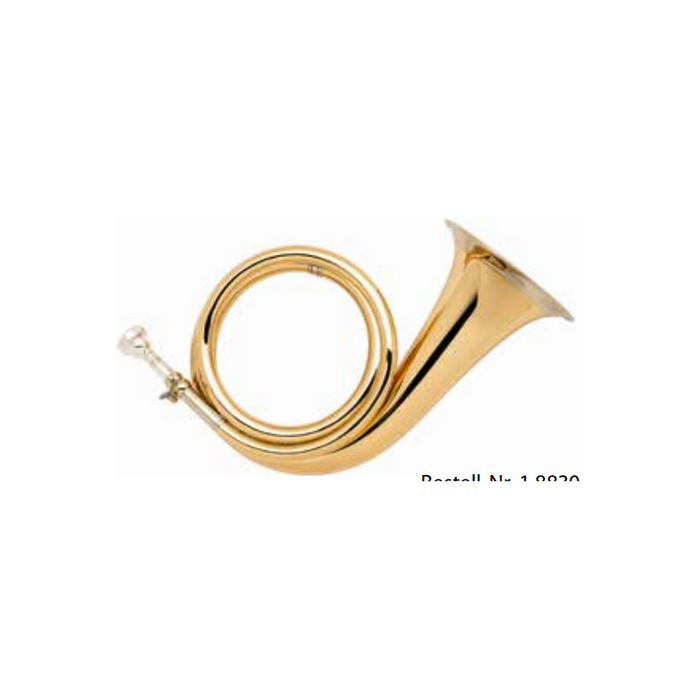 Fürst-Plesshorn mit Lederbezug - 8830 Goldmessing/Konzertmodell