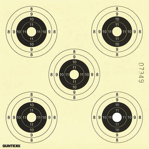 Skydeskiver 14x14 5 PL (250) – Guntex
