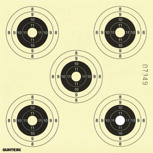 Skydeskiver 14x14 5 PL (250) – Guntex