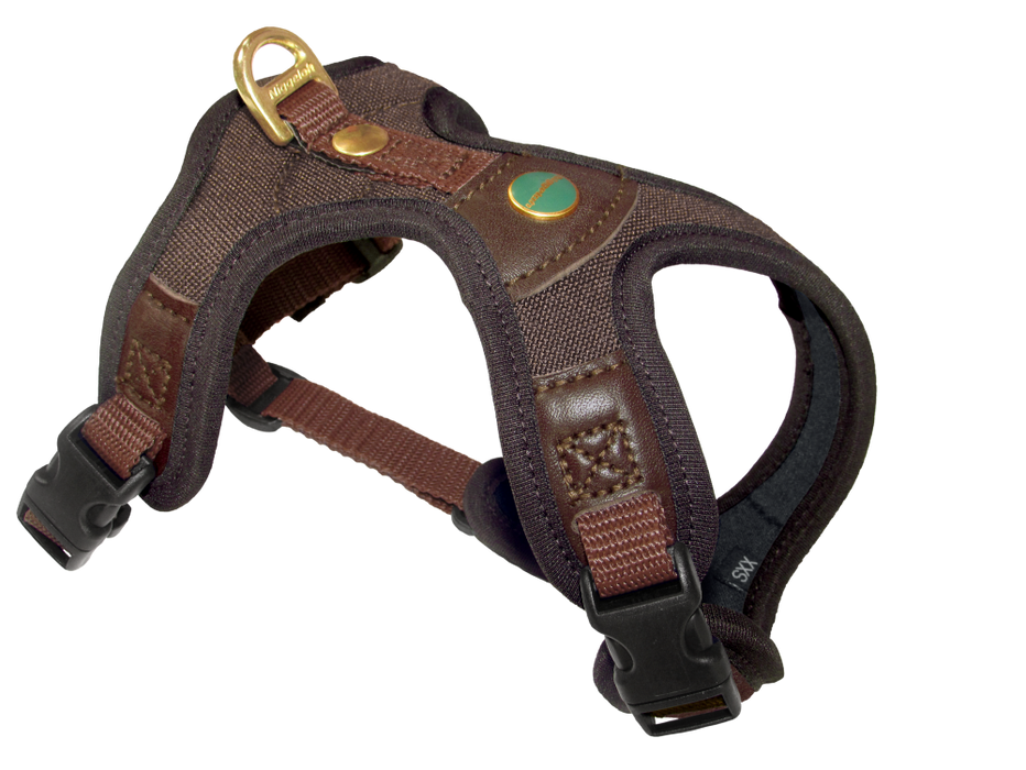 Follow light sele – Niggeloh