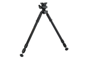 Vanguard Equalizer 2QS