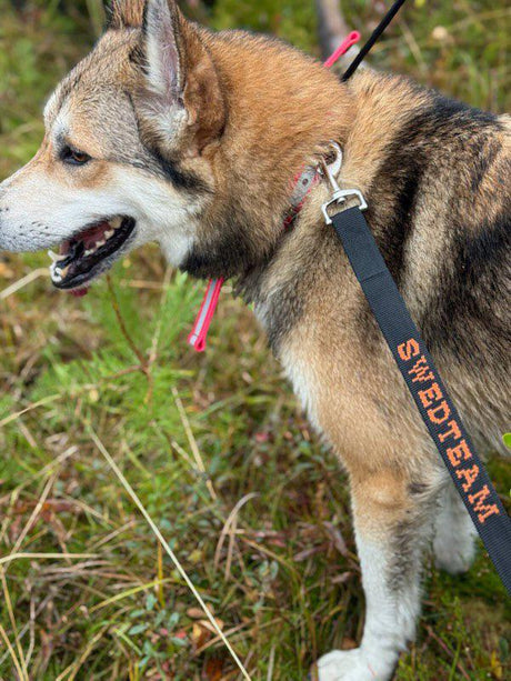 Hundeleine - Deer Drag 4 m - Zubehör Schwarz – Swedteam