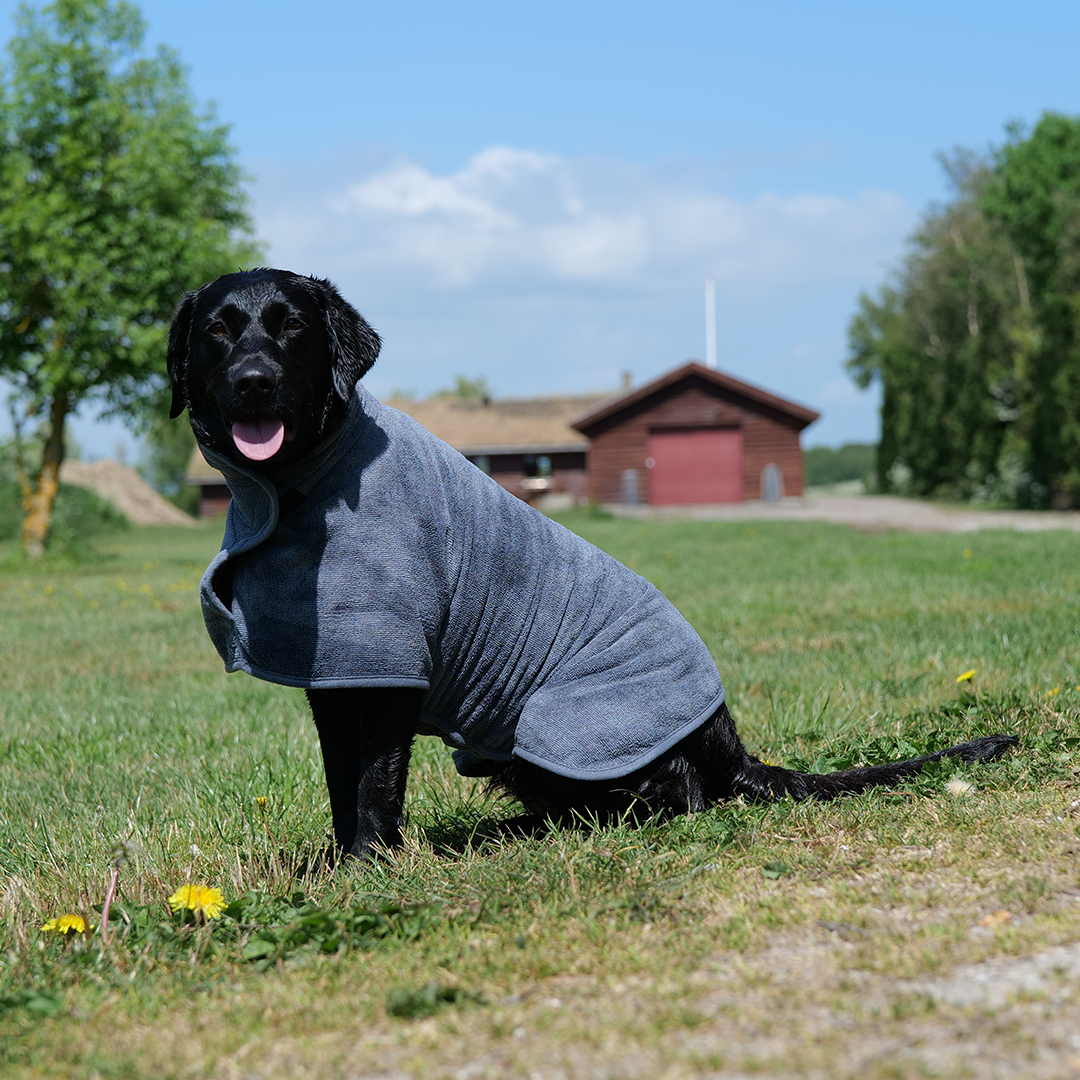 Hundevest - Trockenvest - Trockendecke Grau - HuntElite