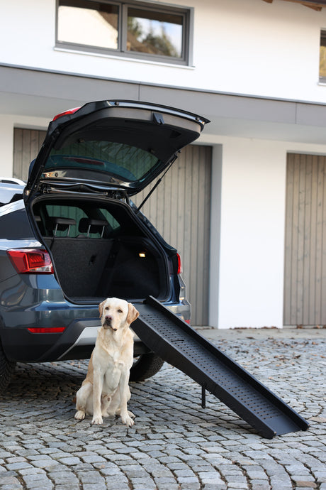 Hunderampe für das Auto – Kerbl
