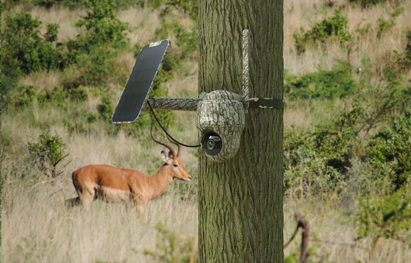 Go Series G450 mit Solarpanel - REOLINK