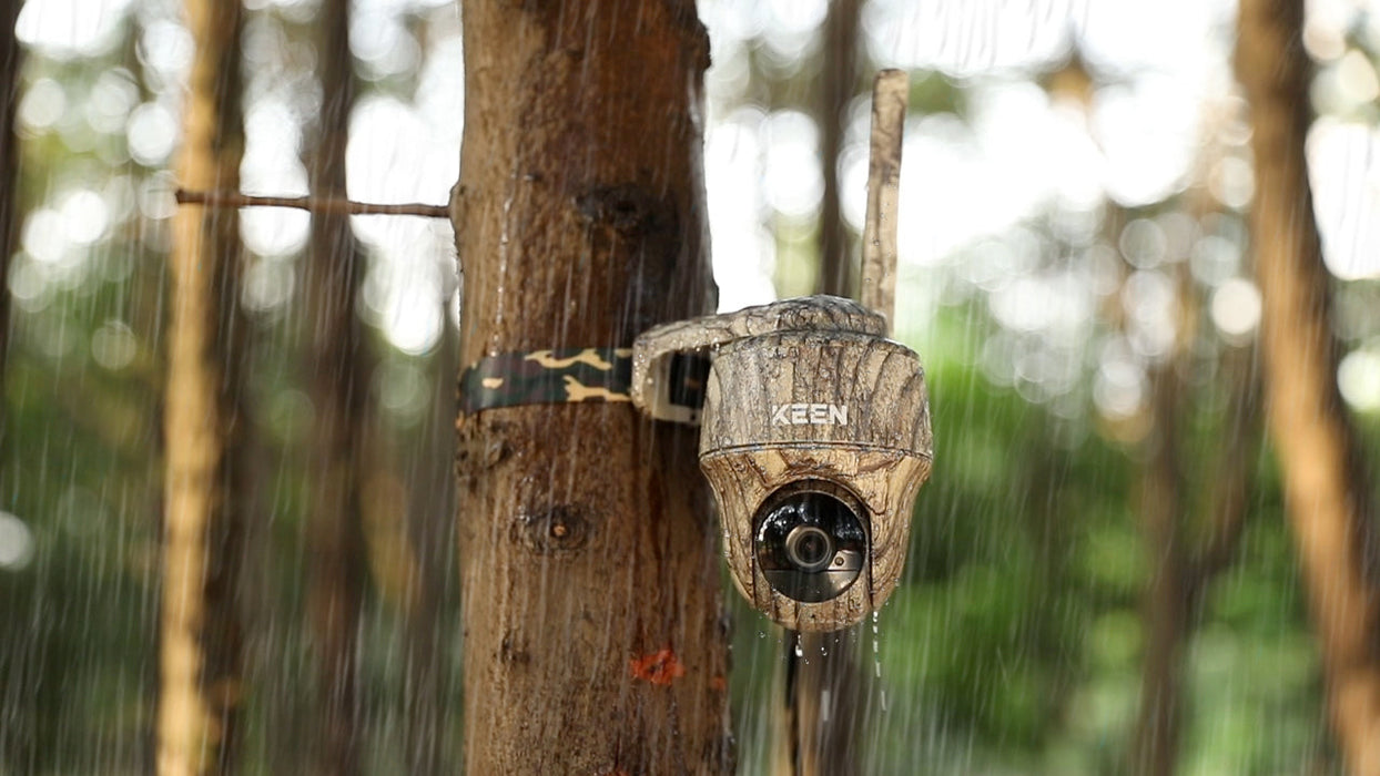 REOLINK - KEEN PT PLUS 4G LIVE WILDLIFE KAMERA INKL. SOLARPANEL