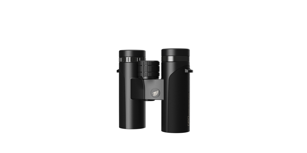 PASSION ED - 8x42 - Braun – GPO
