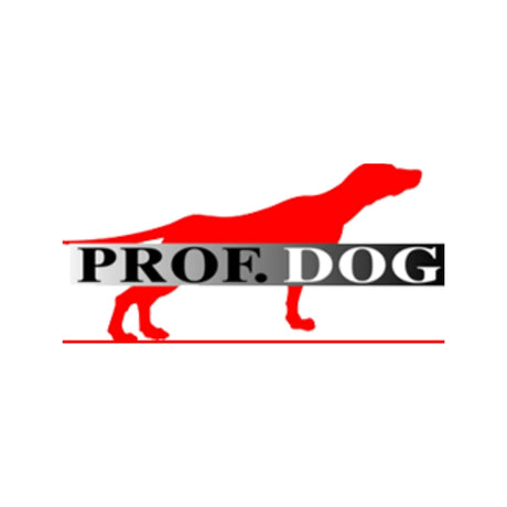 Profdog_e2c2a7e4-9cb2-4d48-b3e0-0ecd61a6d124