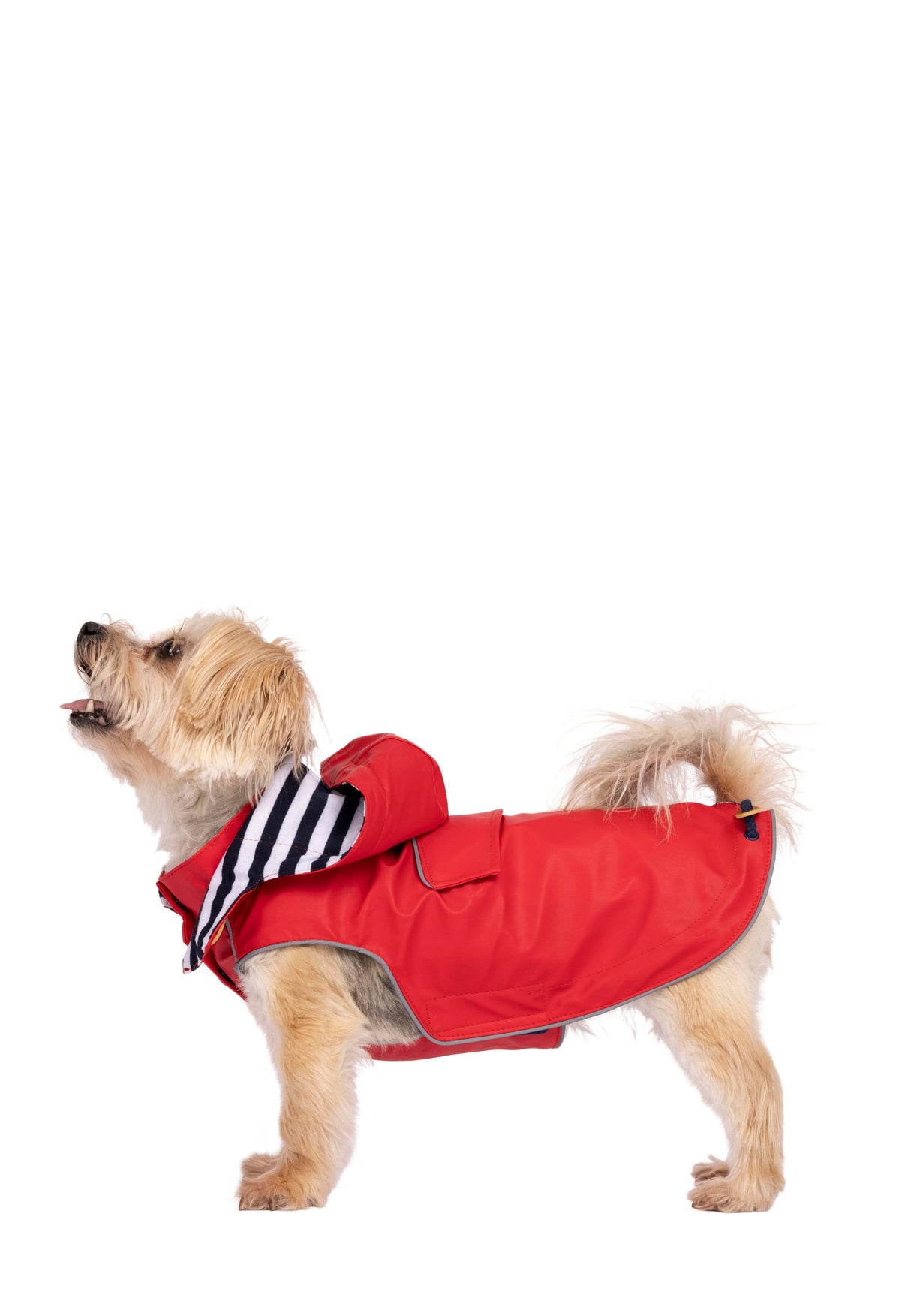 Seadog - Red - Trespass