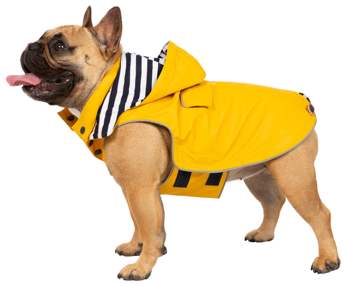 Seadog - Sunshine - Trespass
