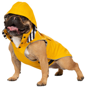 Seadog - Sunshine - Trespass