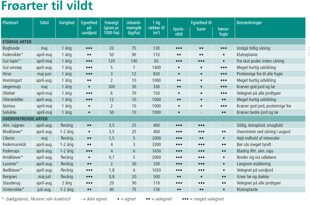Wildvogelmischung - 10 kg