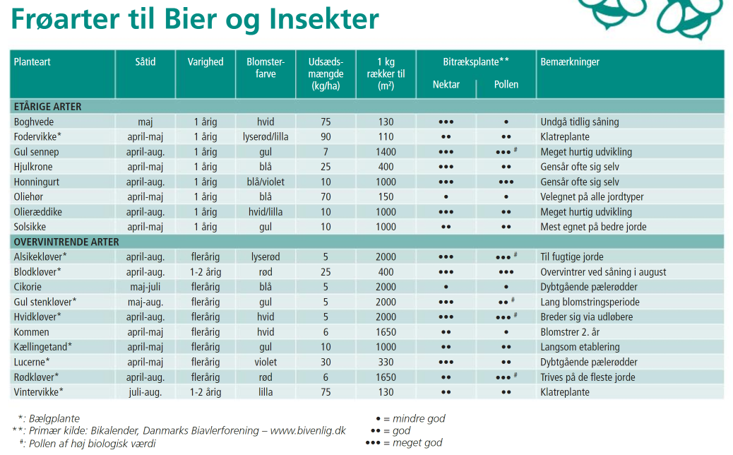 Bienen- und Insektenmischung – 1 kg