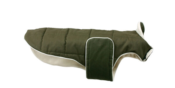 Hundejacke, Grün - PROF DOG