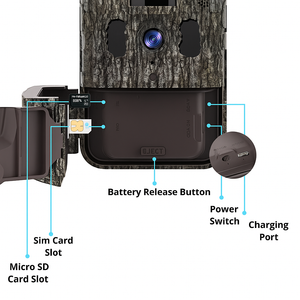 Live 2.0 - Wildkamera inkl. Solarpanel + App