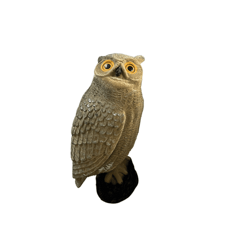 Eule mit Herde