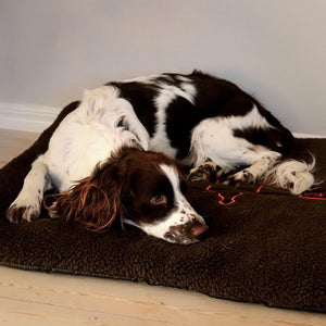 Hundematte 70x100 cm - Accessory Brown – Swedteam