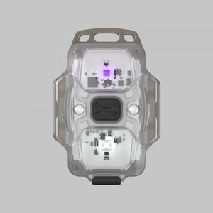 Crystal WUV - Grau/Weiß & Ultraviolett - 150 lm & 325 mW (365 nm) - Armytek
