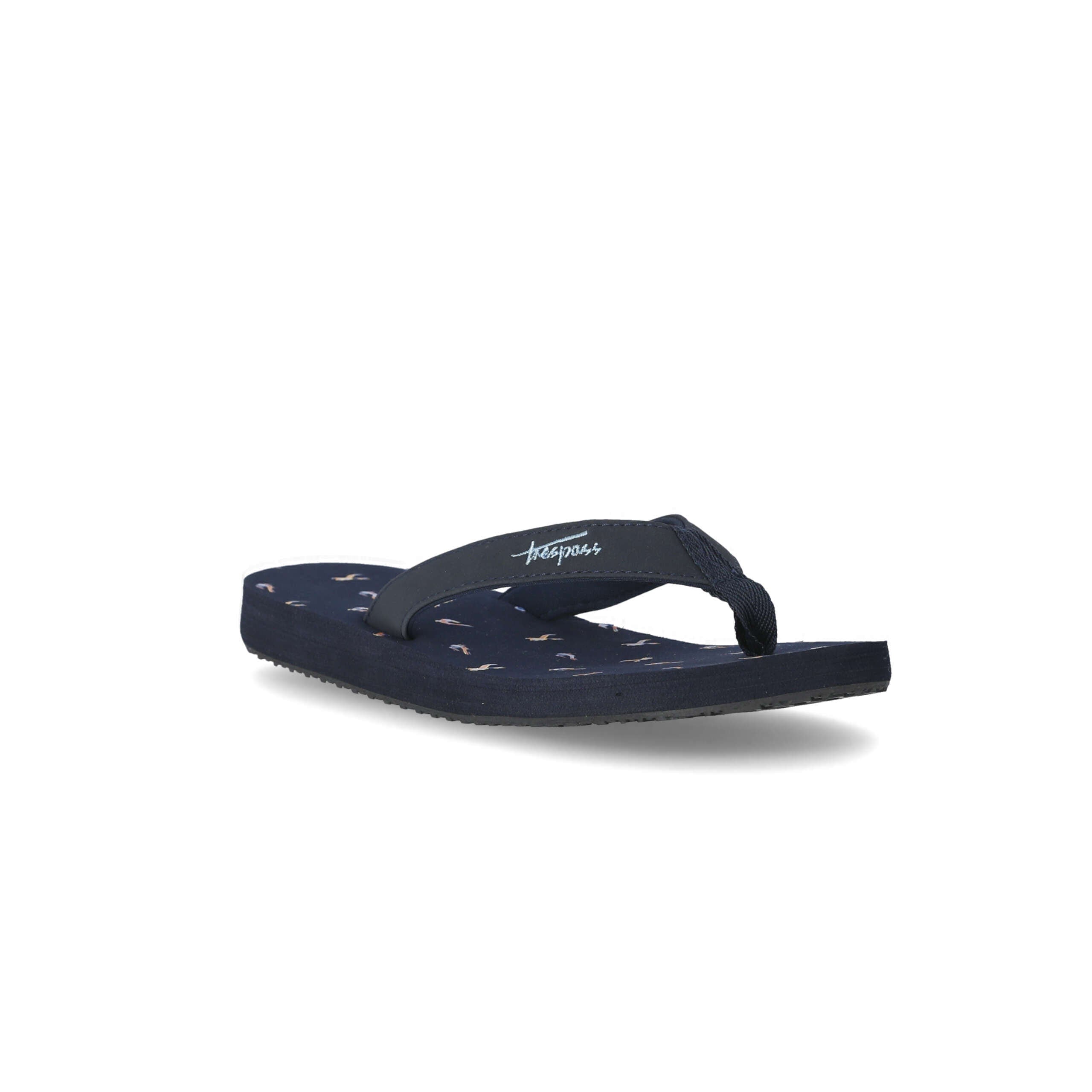 Caladesi - Tropical Bird Print – Trespass