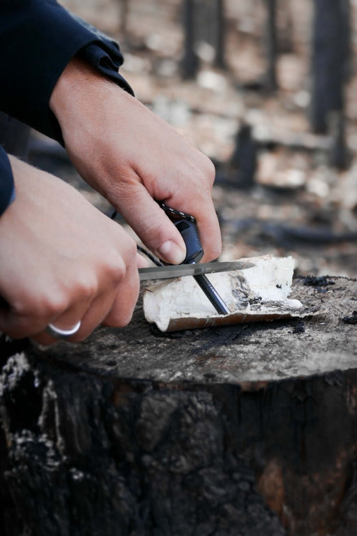 Companion Spark (S) Black - Morakniv