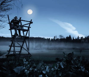 Steiner Nighthunter 8x56 - Jagtbutikken