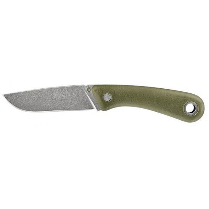 Wirbelsäule fixiert grün – Gerber