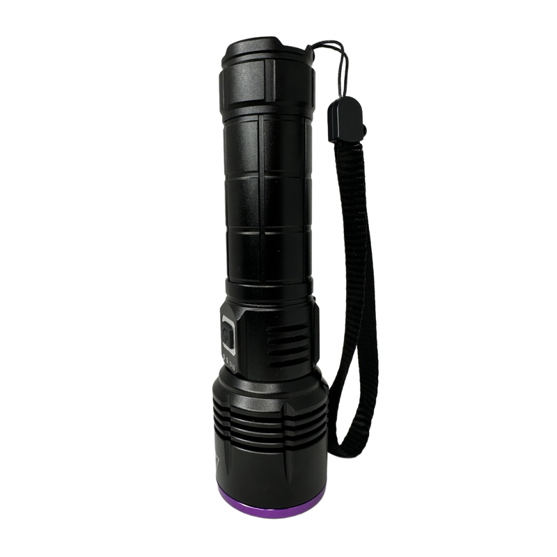 Globuz Eclipse 20W UV 365nm mit Blacklight-Filter