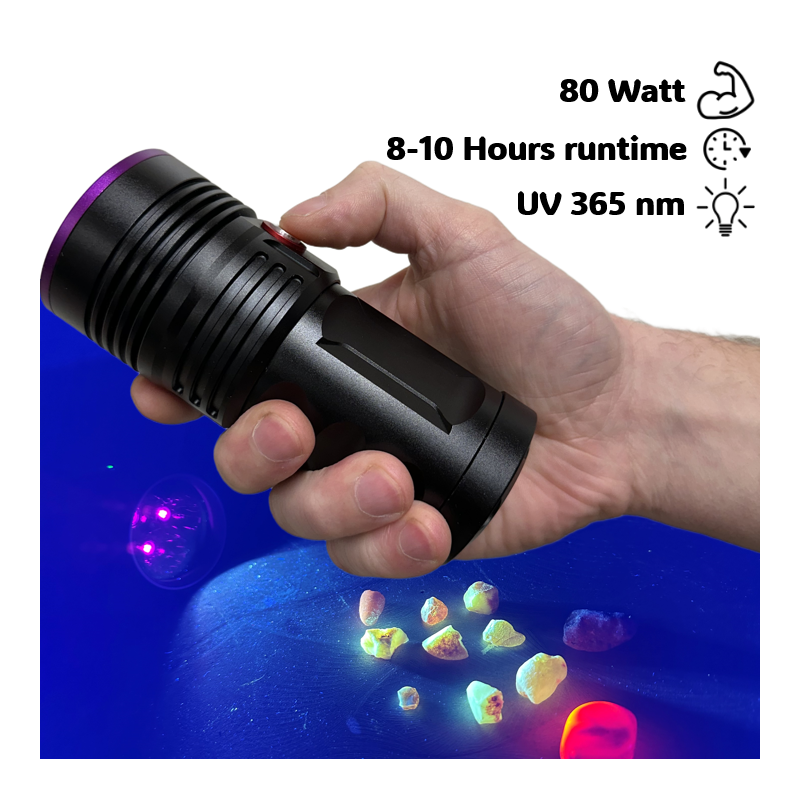 Globuz Eclipse PRO 80W UV 365nm mit Blacklight-Filter