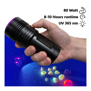 Globuz Eclipse PRO 80W UV 365nm mit Blacklight-Filter