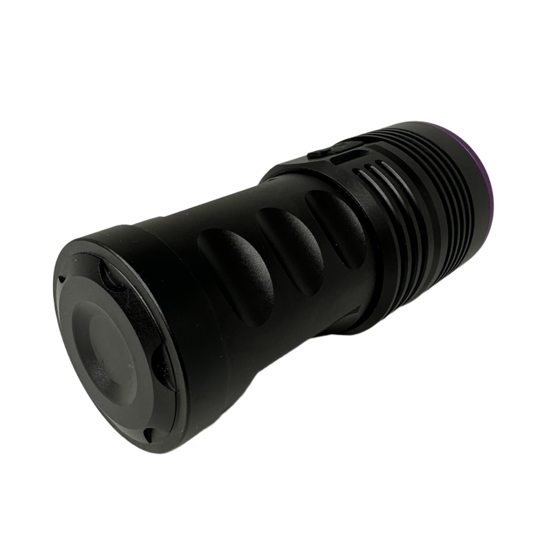 Globuz Eclipse PRO 80W UV 365nm mit Blacklight-Filter