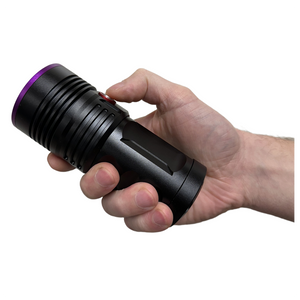 Globuz Eclipse PRO 80W UV 365nm mit Blacklight-Filter