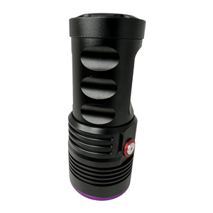 Globuz Eclipse PRO 80W UV 365nm mit Blacklight-Filter