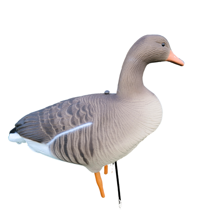 Ganzkörper - Graugänse - 12 Stück - HuntElite