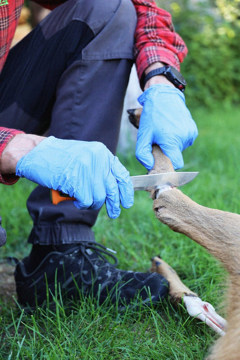 Kansbol Hunting (S) - Morakniv