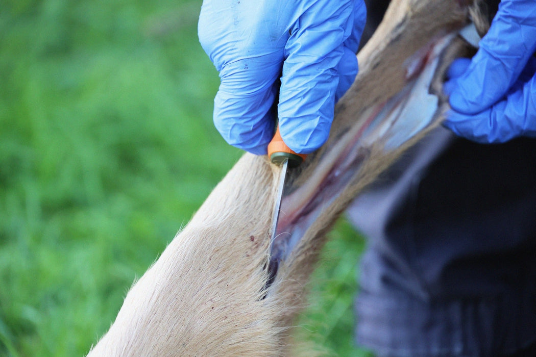 Kansbol Hunting (S) - Morakniv