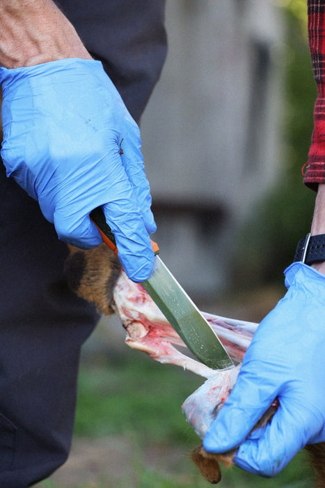 Kansbol Hunting (S) - Morakniv